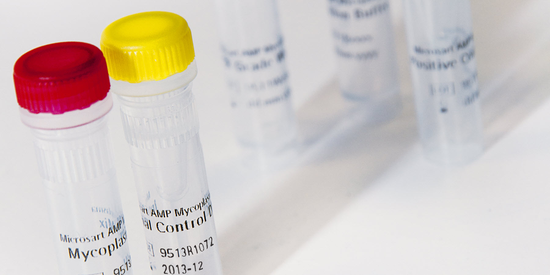 Reliably Detect Mycoplasma
